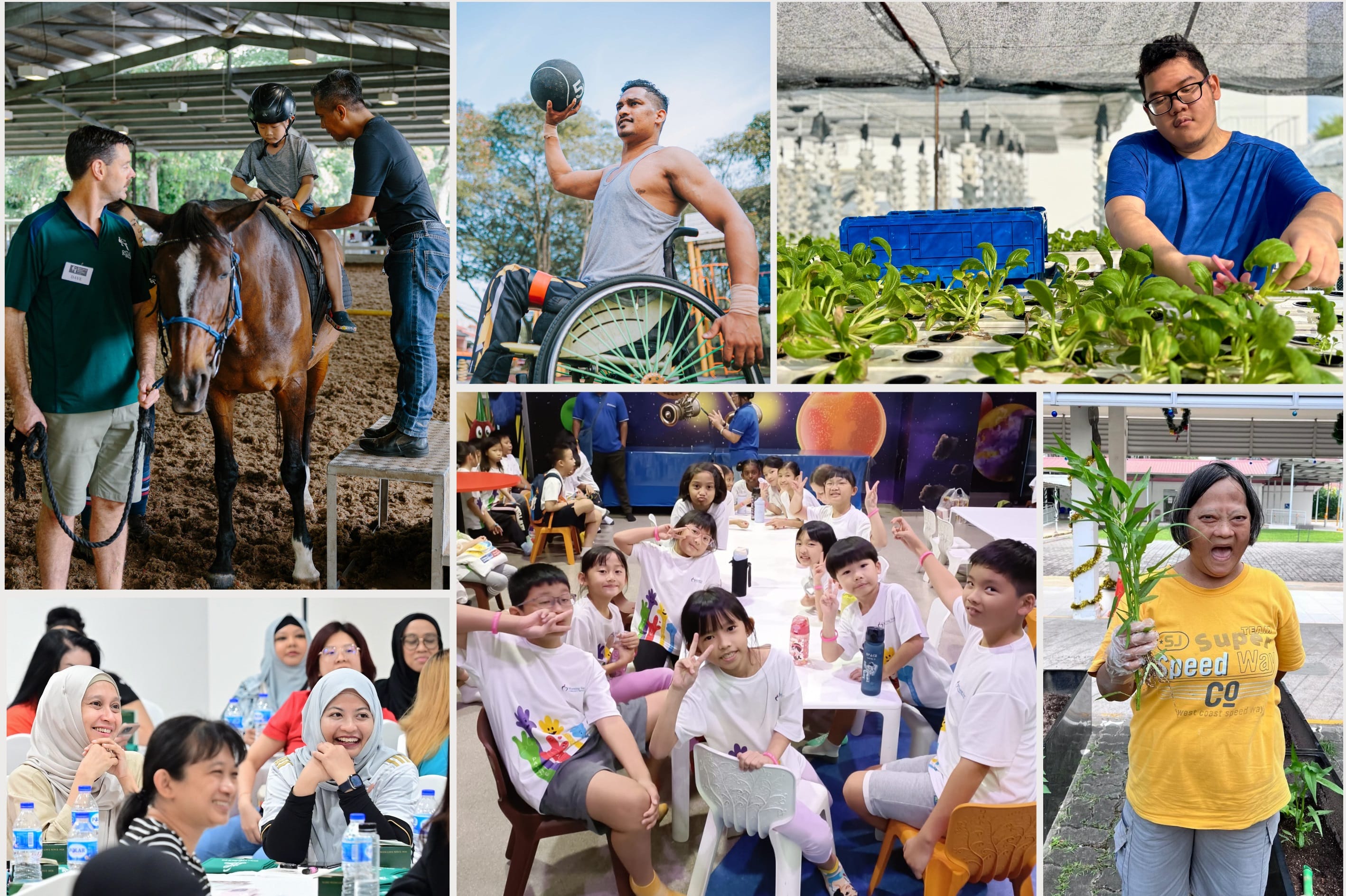 Collage of service users who benefitted from President's Challenge supported programmes